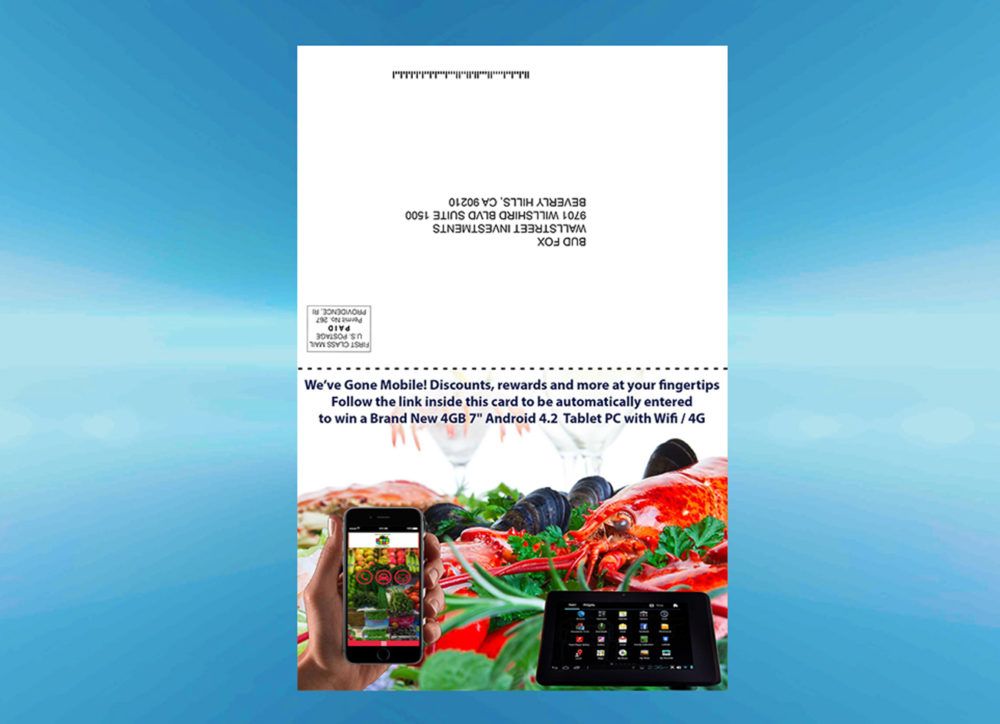 optional-direct-mail-program-copy