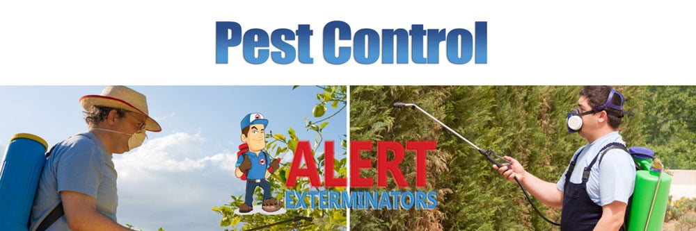 pest-control-banner